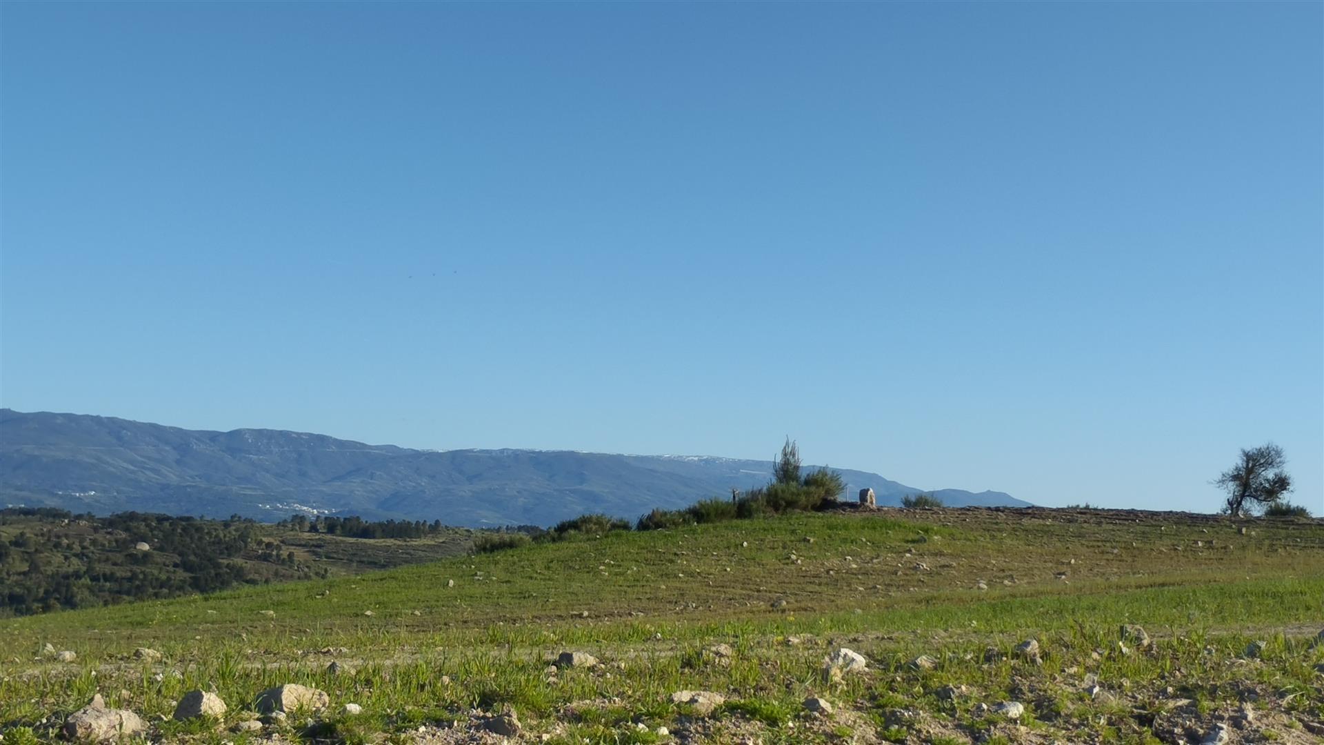 Fantástico terreno y casa en Portugal 