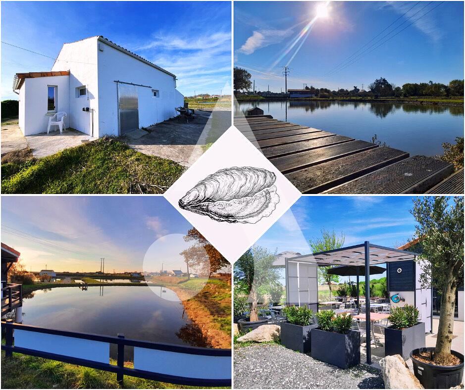 Farm, oyster huts and claires, Bourcefranc Le Chapus