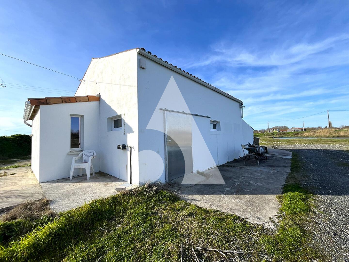 Farm, oyster huts and claires, Bourcefranc Le Chapus