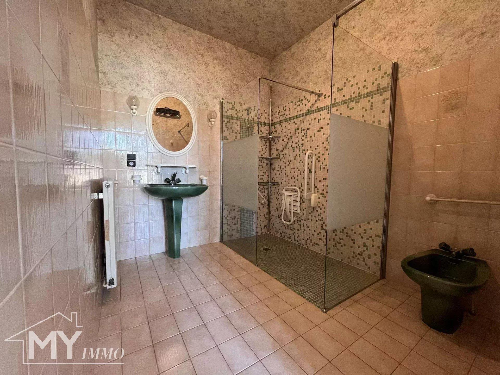 Montpon-Ménestérol: Spacious town house with outbuildings and garden.
