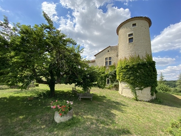 Renaissance castle in a dominant position near Vic-Fezensac on a plot of approximately 4 hectares