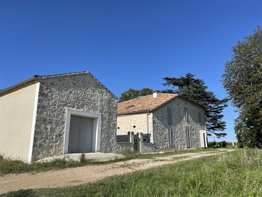 Aoc Armagnac and Côtes de Gascogne vineyard