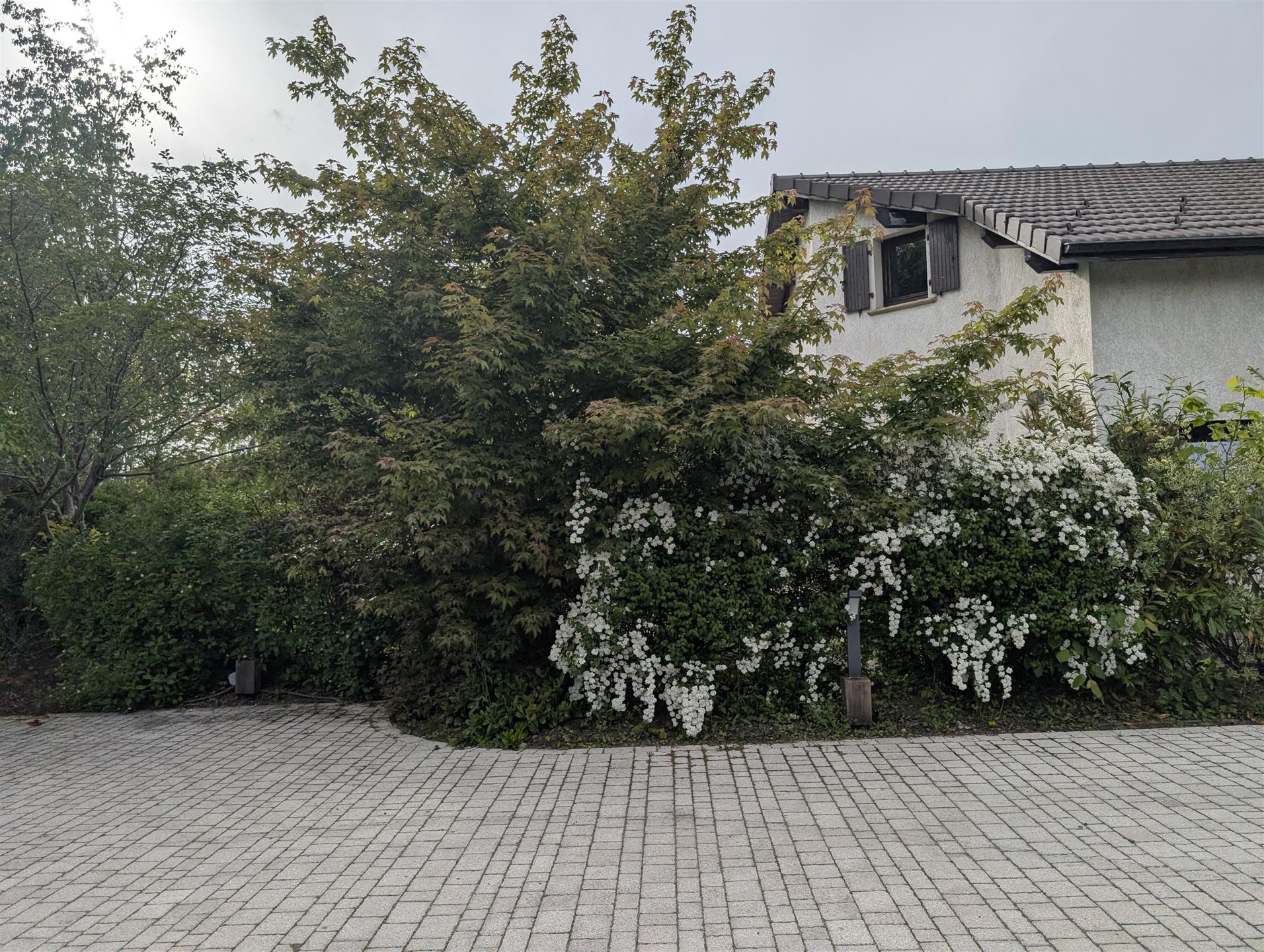 Gran casa unifamiliar de 180 m² en Sainte-Agrève (07) en un terreno arbolado de 1.350 m²