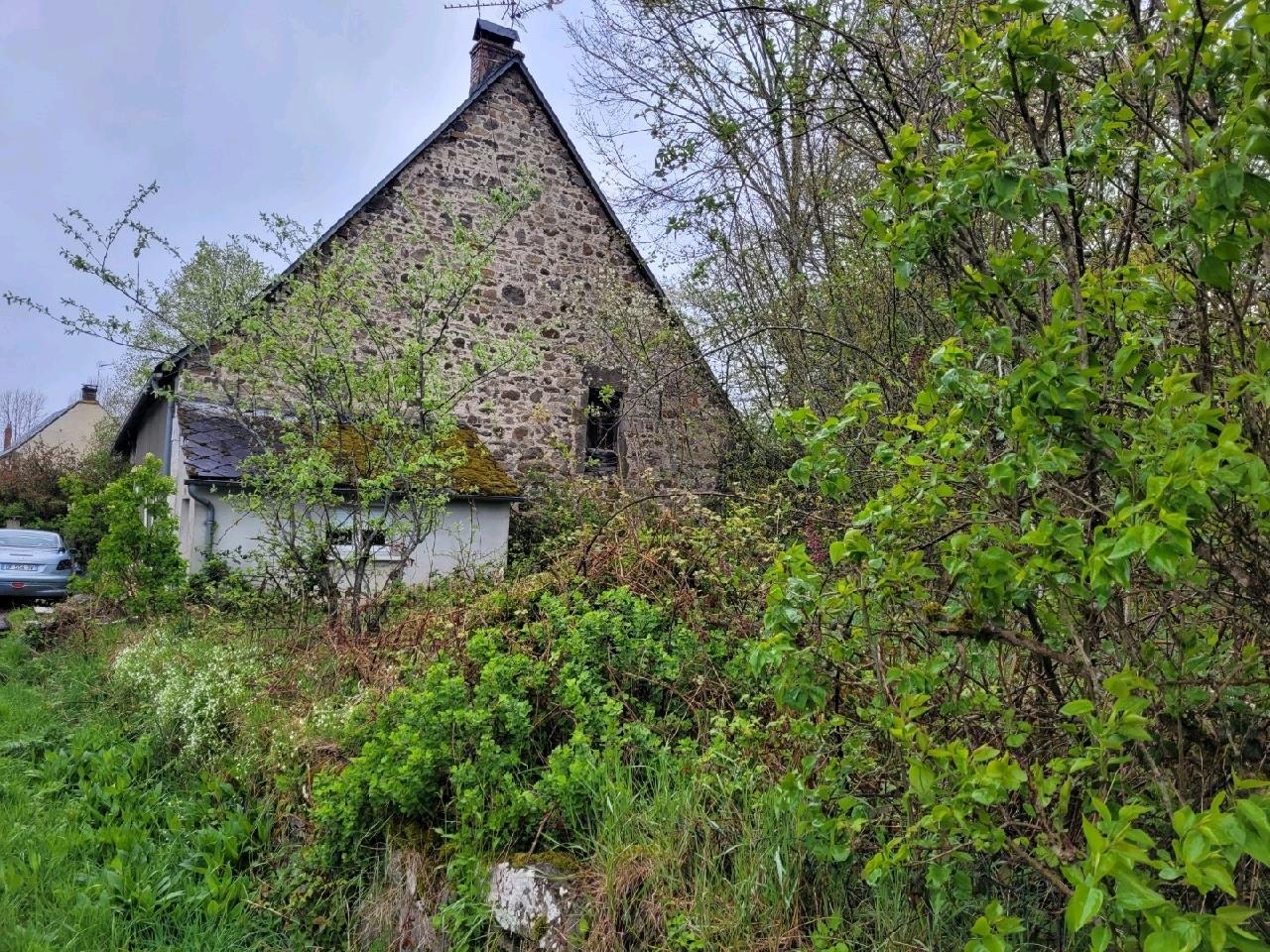 Achat : Maison (63690)