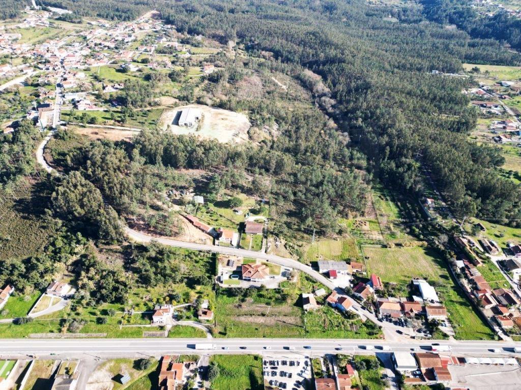Parcela de 60841m2 con un almacén de 1200m2, en Pelariga, Pombal, Leiria