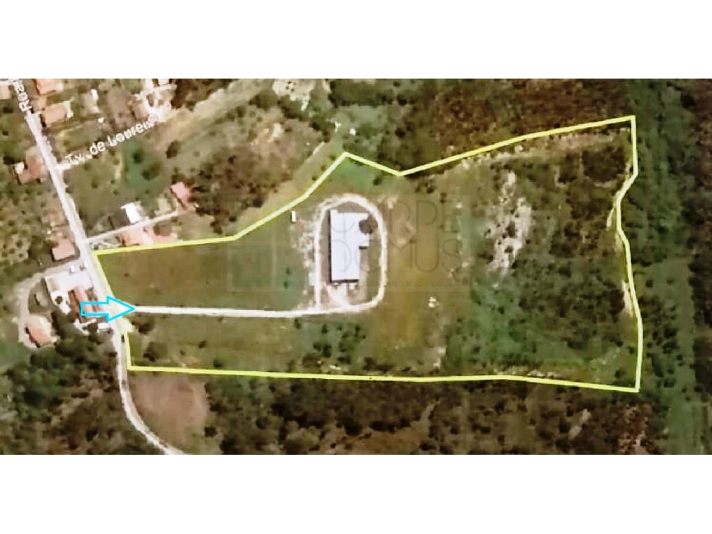 Parcela de 60841m2 con un almacén de 1200m2, en Pelariga, Pombal, Leiria