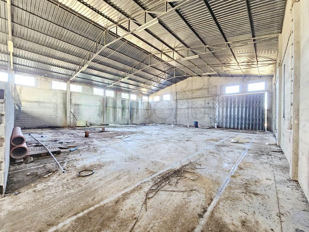 Almacén de 1200m2 en una parcela de 60841m2, en Pelariga, Pombal, Leiria