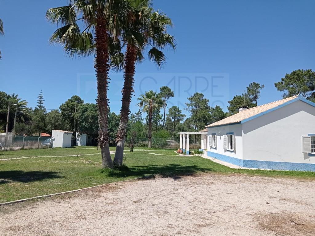 Boerderij met 4 slaapkamers en zwembad, in Azeitão