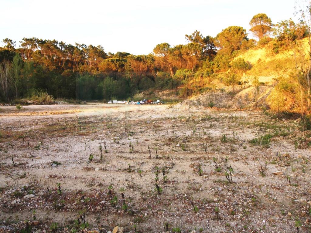 Opportunity - Rustic Land in Coimbra