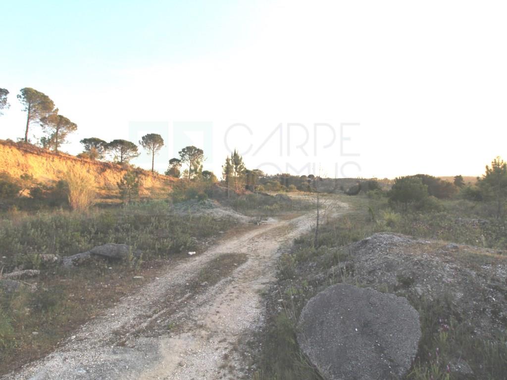 Opportunity - Rustic Land in Coimbra