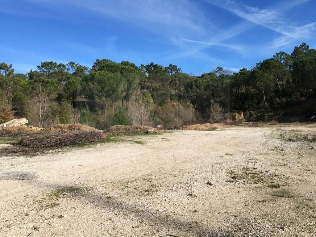 Opportunity - Rustic Land in Coimbra