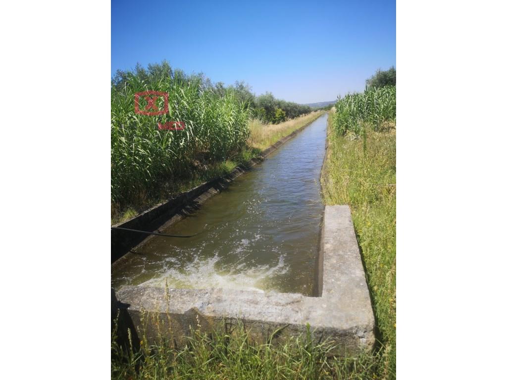 Agricultural farm