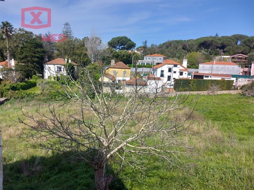 Advert picture