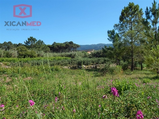 Land in Colares
