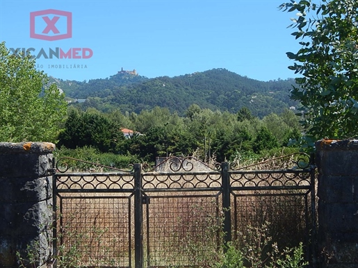 Terreno Venta Sintra