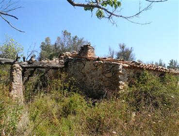 Terreno con ruina en 6 km. de Jalón