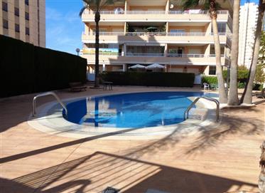 Studio, In Ed. Apolo Xix, At 100m From The Port From Calpe