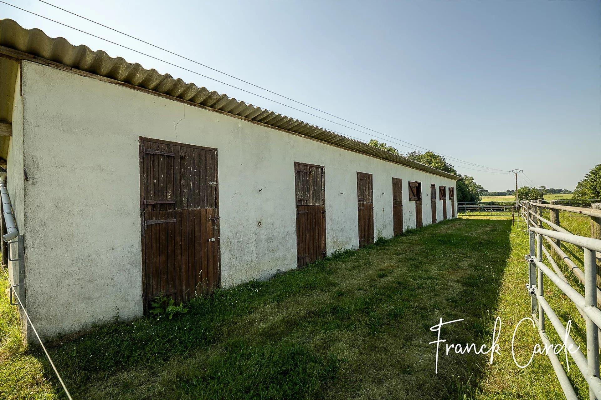 Equestrian property near Luneray