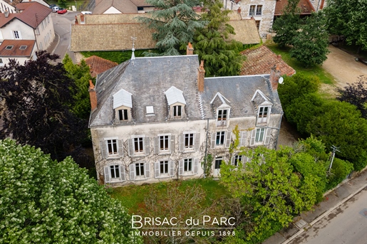 Nuits-Saint-Georges - important mansion and its outbuildings
