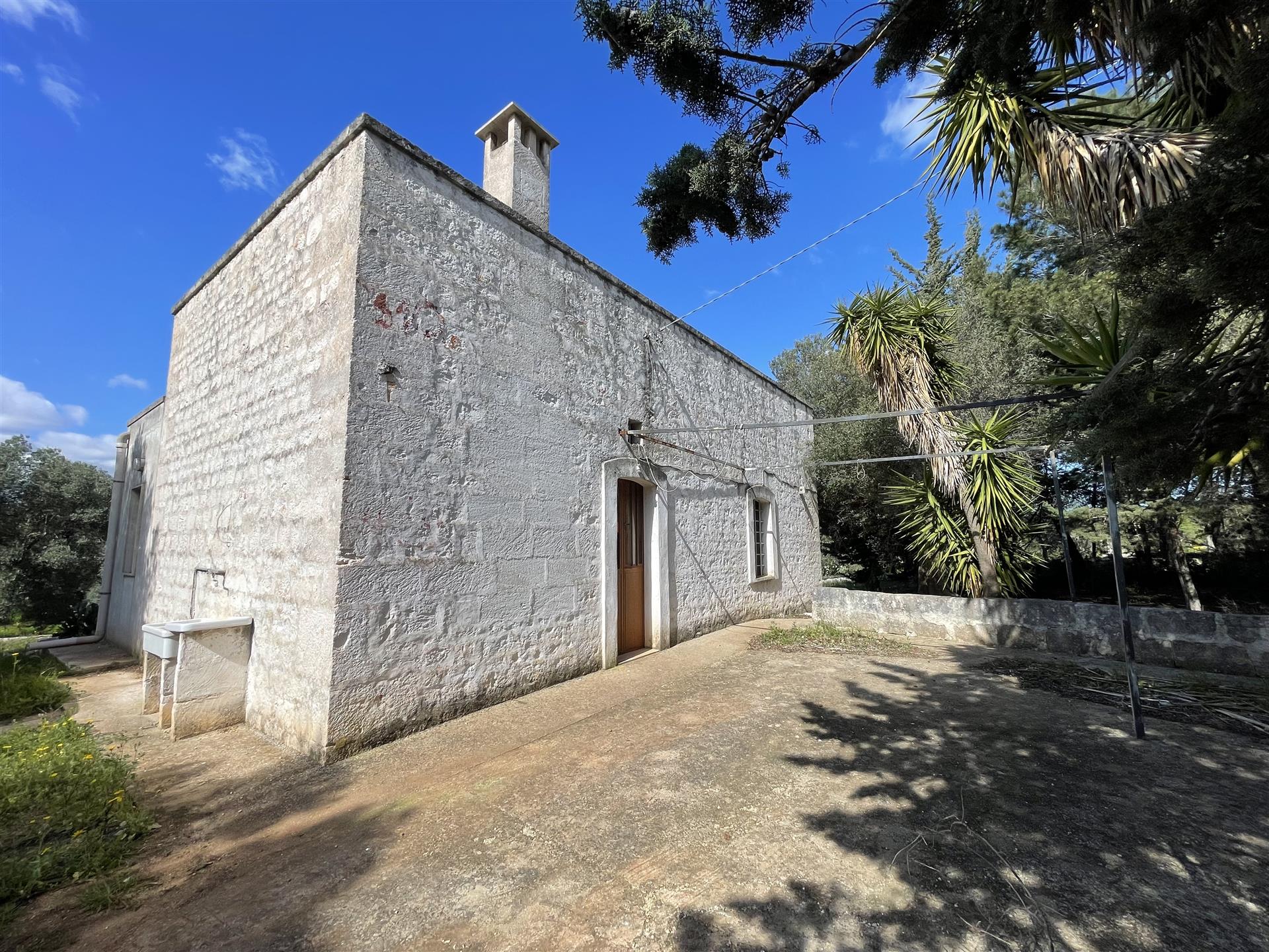 חווה וטרולי עם אדמה במונופולי