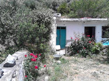 Maison traditionnelle dans le sud-est de la Crète, à 7 km de la mer