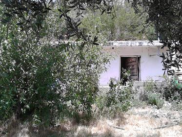 Традиционна къща в югоизточната част на Крит, на 7 км от морето