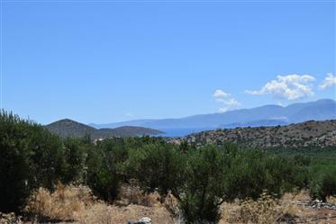 Plot of land with lovely mountain and sea views.