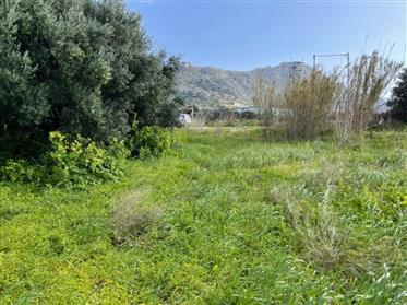Kato Horio, Ierapetra, Działka przy głównej drodze 5 min od Ierapetra