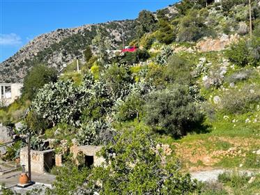 Pefki Makrigialos:Plot of land with mountain and sea views just 7km from the sea.