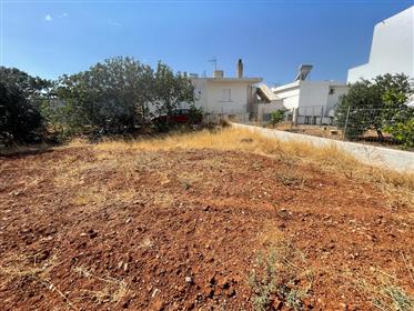 Makrigialos: Plot of land located just 1km from the sea .