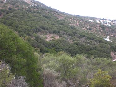 Land close to Sitia  with nice views!!!!  east Crete