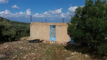 Huis met tuin in een dorp op 7 km van Sitia.