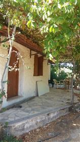 Къща с градина и маслинови дървета в Село Пайкефало-Сития.