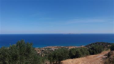 Agia Fotia Sitia: Bouwgrond met olijfbomen en fantastisch uitzicht op zee!!
