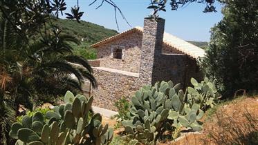 Kato Episkopi- Sitia: Traditional new built stone house just 5km from the sea.
