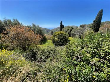 Pefki – Makry Gialos Vrt površine 875m2 smješten između Pefkija i Agios Stefanosa.