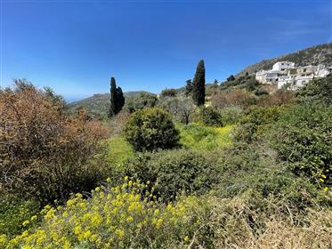 Pefki – Makry Gialos Um jardim de 875m2 localizado entre Pefki e Agios Stefanos.