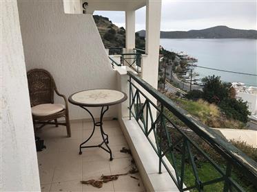 Elounda - A gios Nikolaos: 4 onafhankelijke appartementen van 40 m² Elk, 200 meter van de zee.