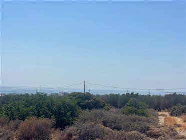 Αγροτεμάχιο με θέα βουνό και θάλασσα στον Γούδουρα, Λεύκης, Νοτιοανατολική Κρήτη.