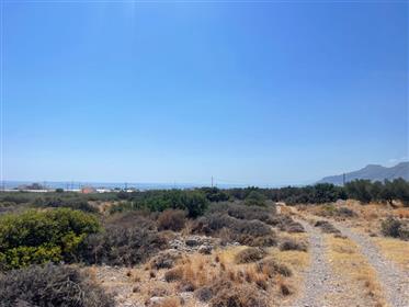 Terrain bénéficiant d'une vue sur la montagne et la mer à Goudouras, Lefkis, sud-est de la Crète.