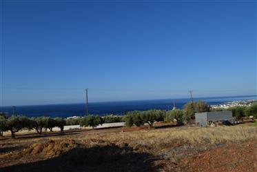 Makrigialos: Plot of land of 7061,57m2 just 700meters from the beach.