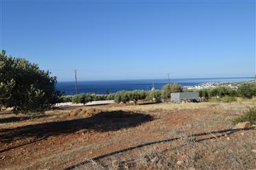 Makrigialos: Plot of land of 7061,57m2 just 700meters from the beach.