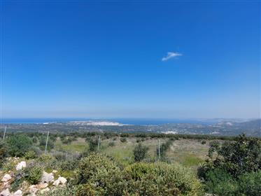 Fantastique terrain à bâtir à 6 km de la mer à Achladia, Sitia, Crète orientale.