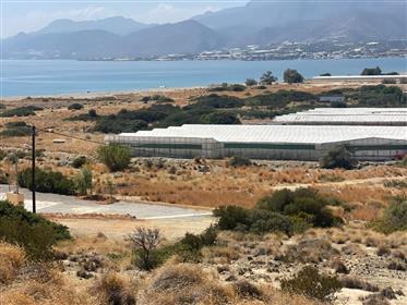 Niesamowita działka budowlana zaledwie 300 metrów od morza w Lagada, Makry Gialos, wschodnia Kreta.