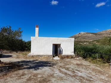 Terrain à bâtir avec oliviers et petit entrepôt à Itia, Sitia, Crète orientale.