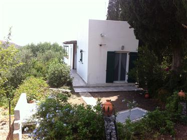 Stavrochori-Makrigialos: Two houses with separate entrace 7km from the sea. 