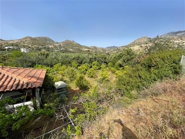 Myrtos-Ierapetra: Wspaniały ogród cytrynowo-owocowy zaledwie 1 km od morza.