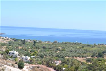 Apartments with sea views, just 650meters from the sea in Zakros, Sitia, East Crete.