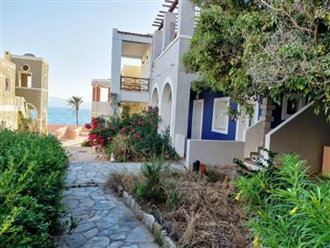 Lägenhet på bottenvåningen 100 meter från havet i Analoukas, Sitia, östra Kreta.