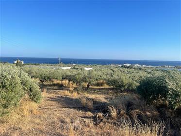 Grand terrain à bâtir à seulement 1,5 km de la mer à Koutsouras, Makry Gialos, sud-est de la Crète.